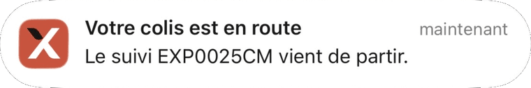 Notification Expedys : « Votre colis est en route - le suivi vient de partir. »